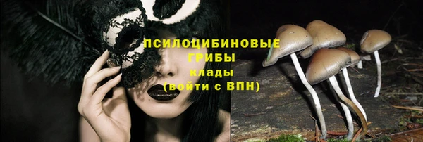 спайс Алексин
