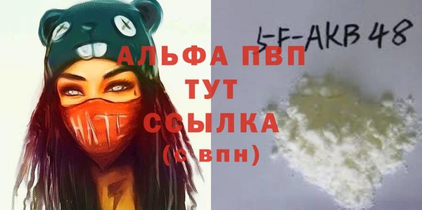 гашик Арсеньев