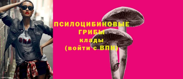 гашик Арсеньев