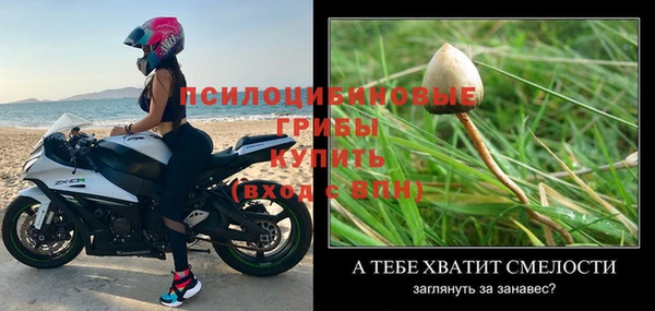 гашик Арсеньев