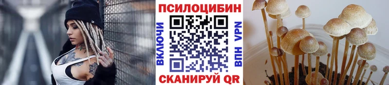 Псилоцибиновые грибы Cubensis  Курган 